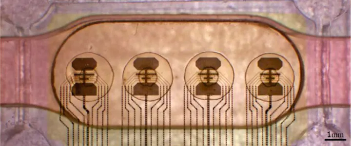 바이오 프로세서