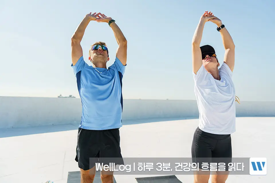 포스파티딜세린 효능 복용법 부작용 하루권장량