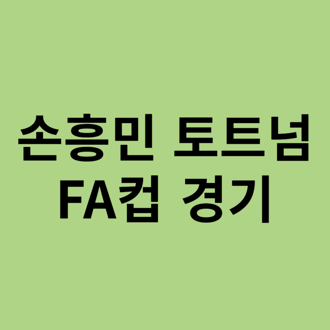 손흥민 토트넘 FA컵 경기 주요 하이라이트