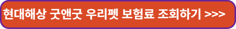 현대해상-굿앤굿-우리펫-보험료-조회하기-배너