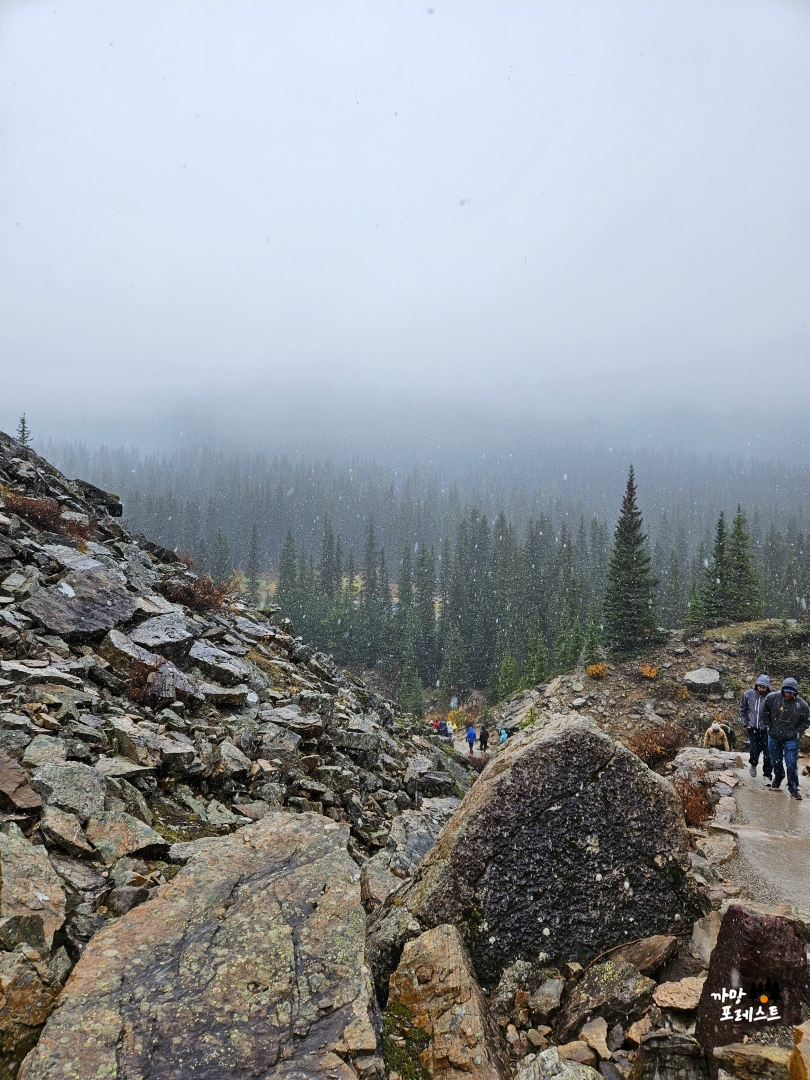 캐나다 모레인 호수 전망대 가는길