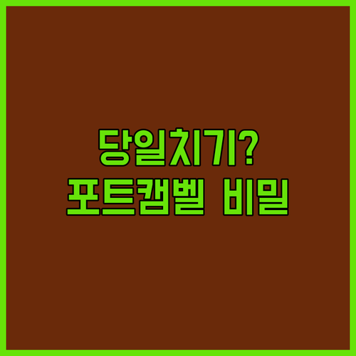 아직도 멜버른에서 당일치기 하세요? ..
