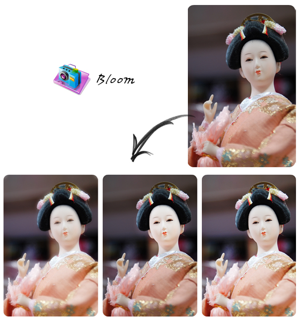 Bloom