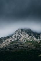 산불 재난지원금 신청하기