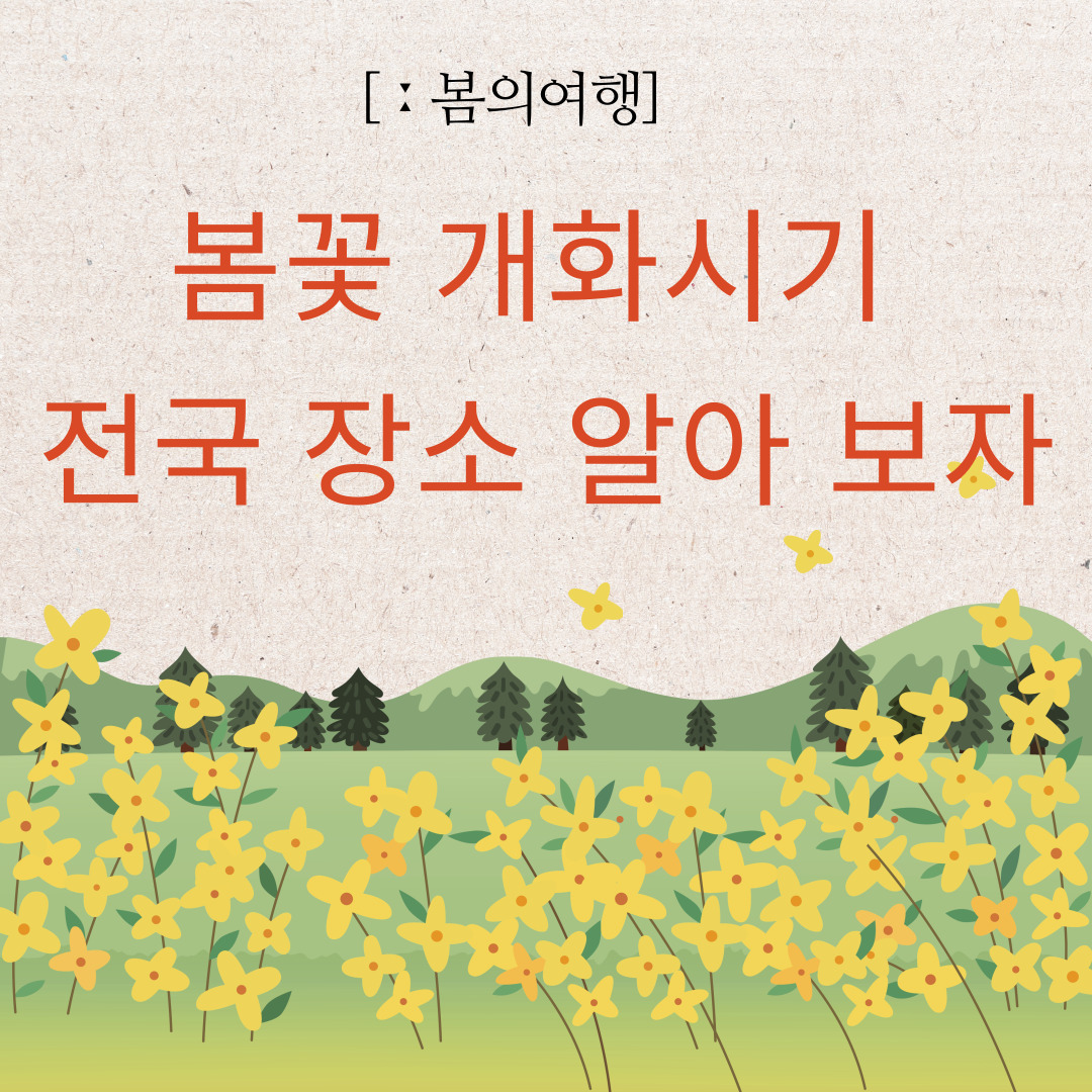 봄꽃-개화시기-전국-장소-알아-보자