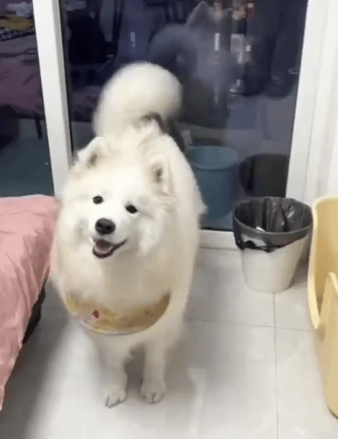 1월 16일 화 신문스크랩