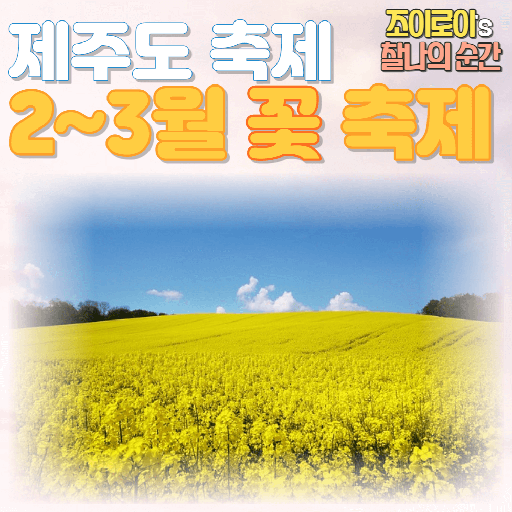 제주도 축제 일정