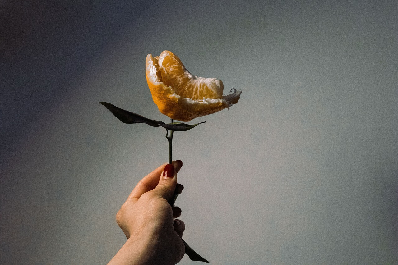 귤과 귤 껍질의 사진들 - 2