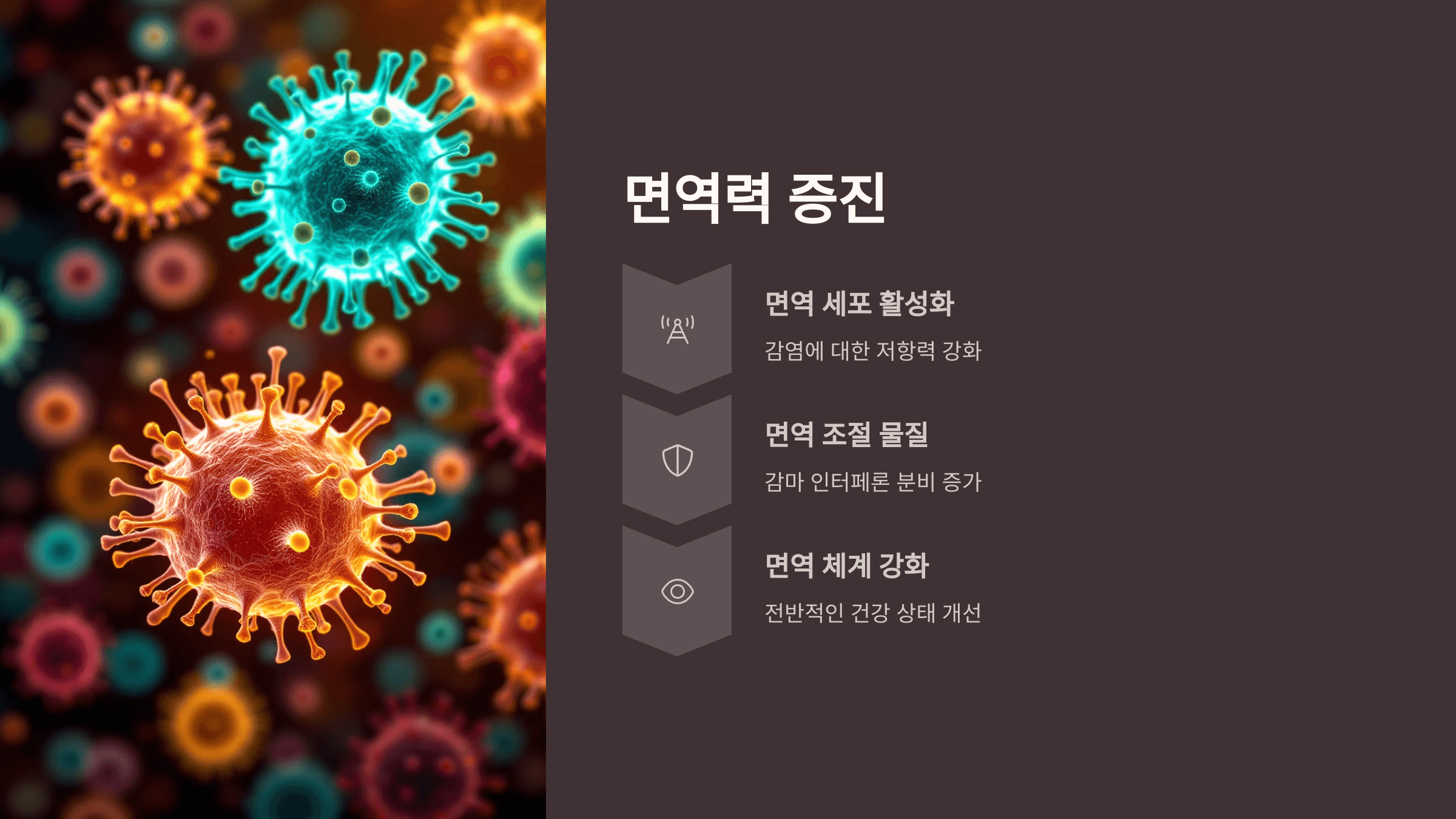 상황버섯 사진입니다.