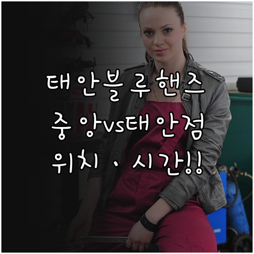 태안읍 블루핸즈 태안점 중앙점 주소와..