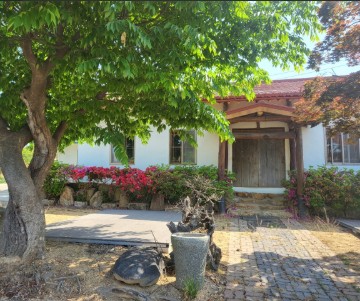 태안 맛집 베스트10 현지인 추천 관련 사진