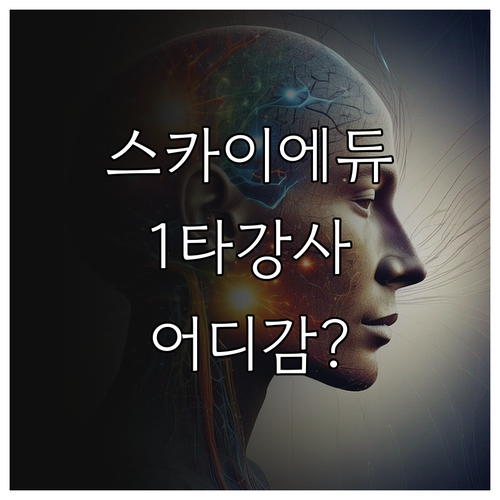 스카이에듀 폐업 이후 스타 강사 활동..