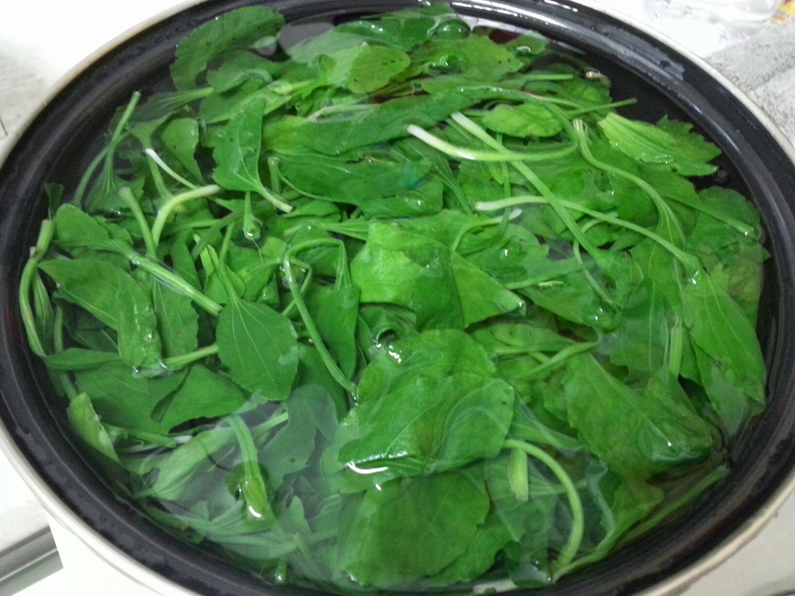 plantain 12
