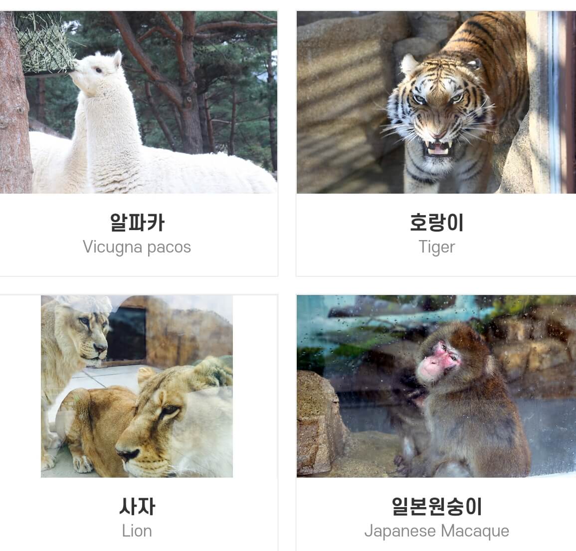 네이처파크 미라클 크리스마스 기본정보와 주차장,입장료를 알아봤습니다