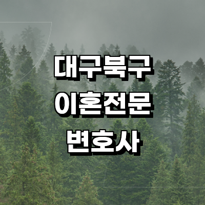 대구 북구 이혼 변호사