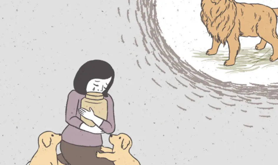 펫로스 증후군 증상