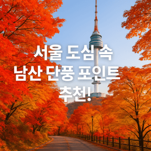 서울 도심 가을 단풍 여행지 추천! 남산 단풍 절정 시기·산책코스·포토존 총정리
