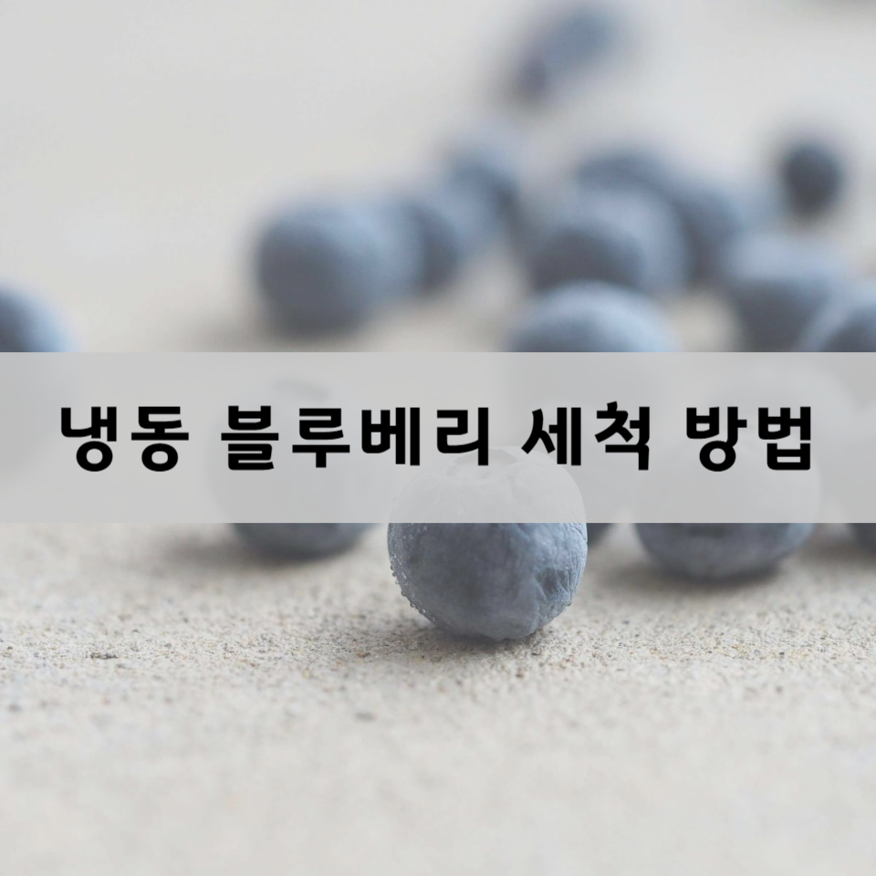 냉동-블루베리-세척-방법