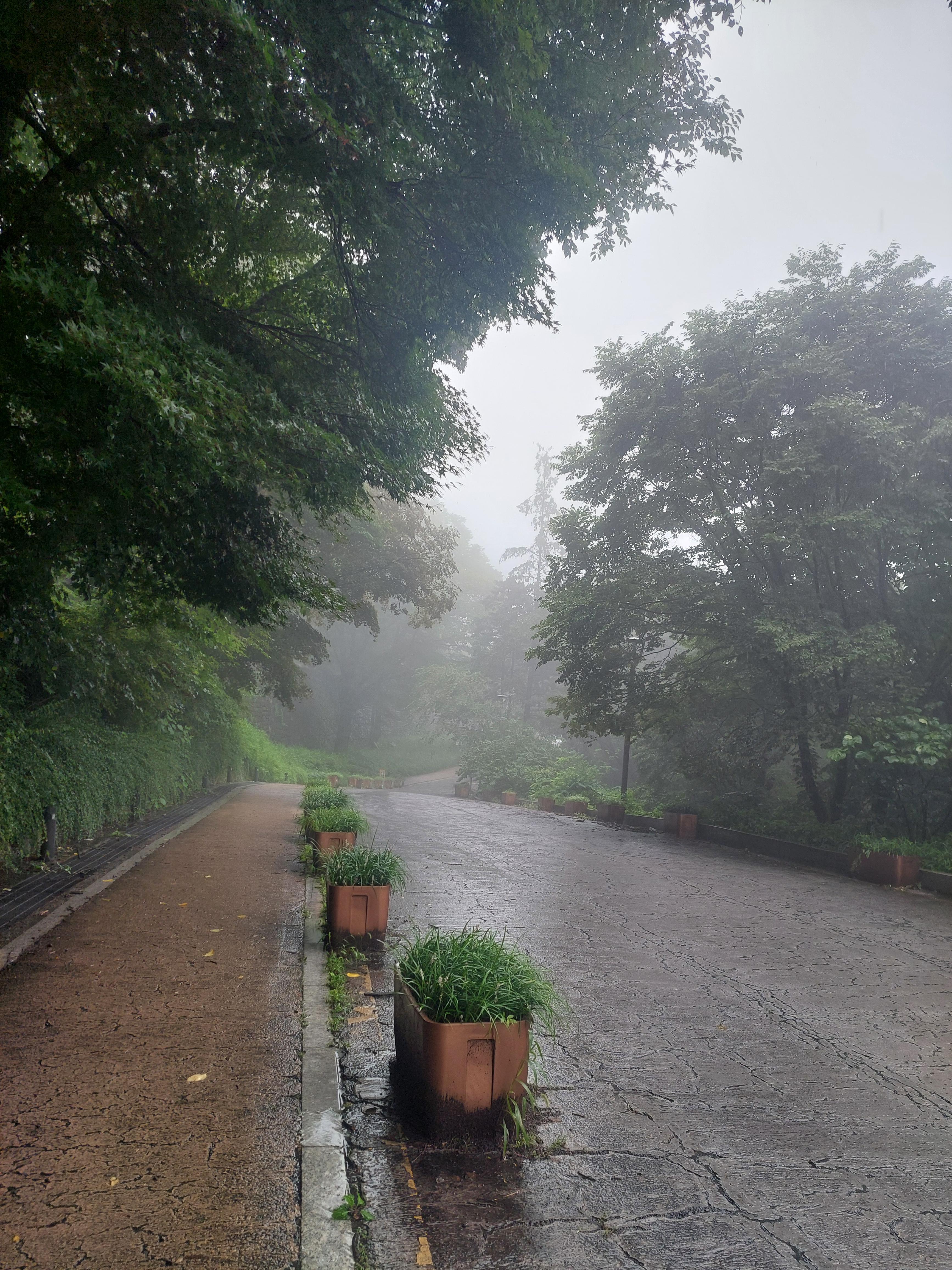 남산매봉산