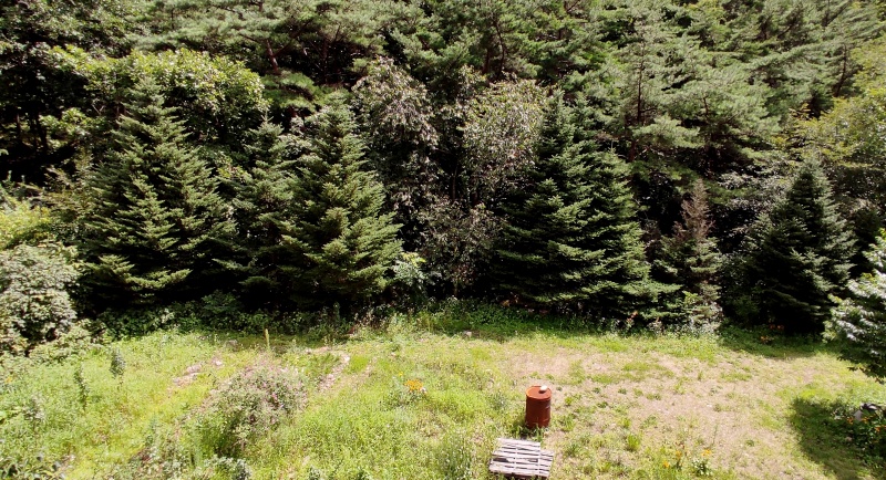 테라스에서 보이는 숲과 계곡