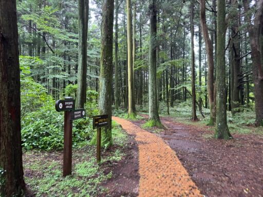 반려견과 함께 떠나는 전국 산행 명소 7선 : 강아지 동반 가능한 등산 코스 총정리