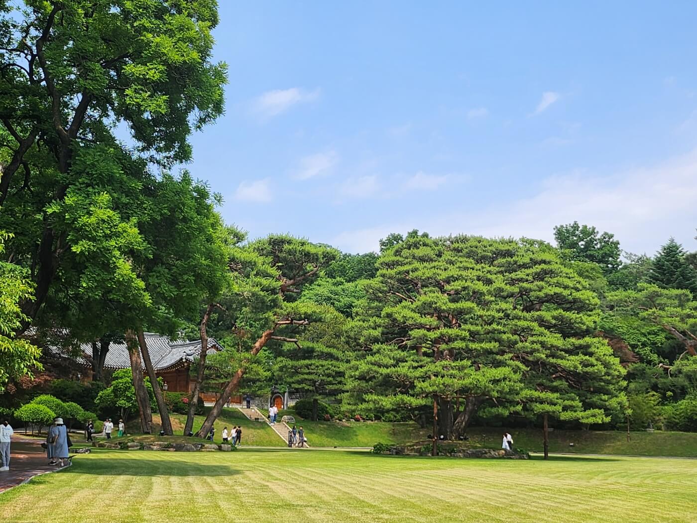 청와대 야간관람 신청