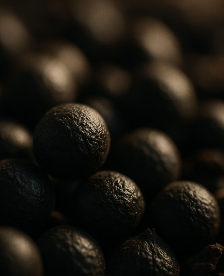 깊은 잠에 빠진 씨앗의 비밀