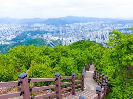 수리산 사진입니다.