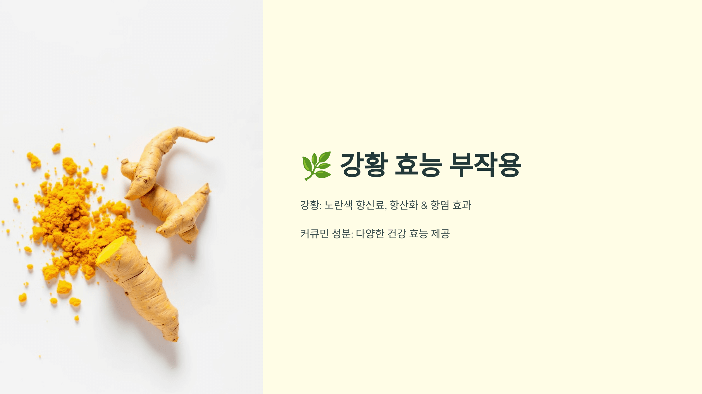 강황 사진입니다.