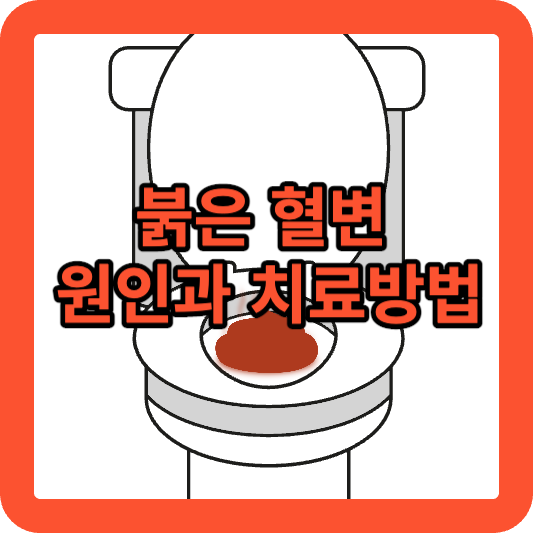 붉은 혈변 원인과 치료방법