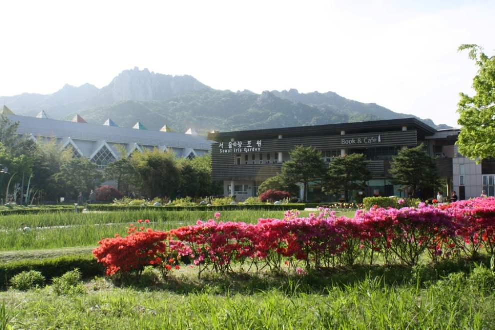 서울창포원 사계축제 꽃 기억해