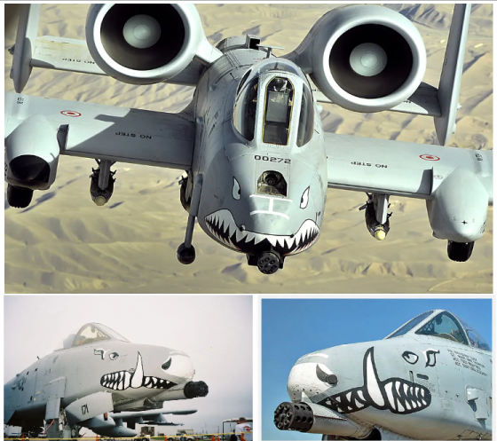 A-10 썬더 볼트의 외관
