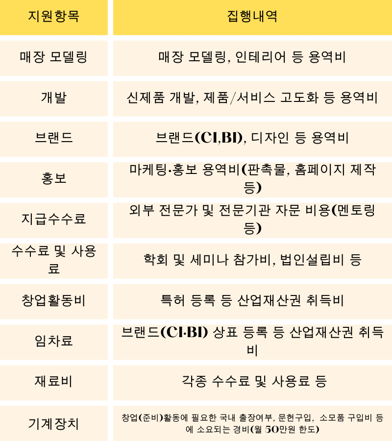 사업화 자금 지원 항목