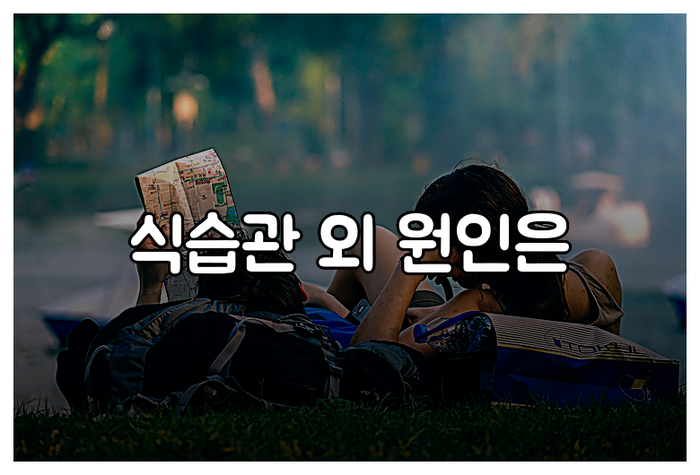 식습관 외 원인은