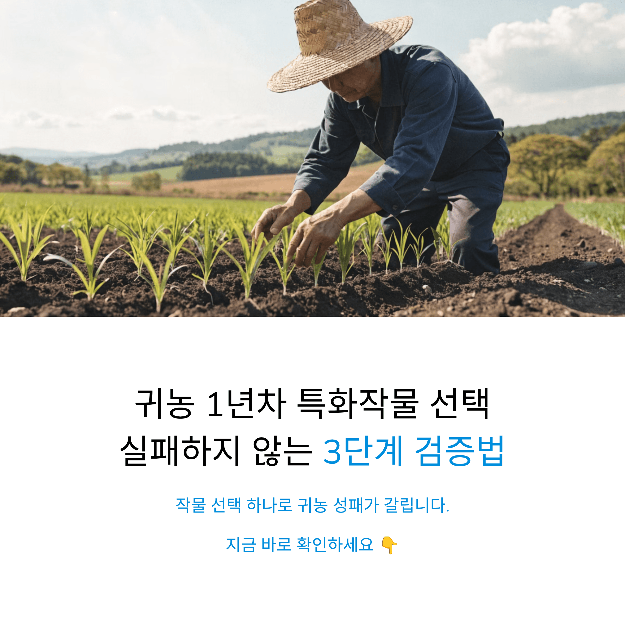 귀농 1년 차가 특화작물 선택에서 실패하지 않으려면 반드시 거쳐야 할 3단계 검증 과정 총정리