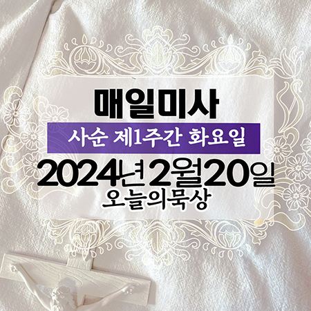 2월20일 평일미사