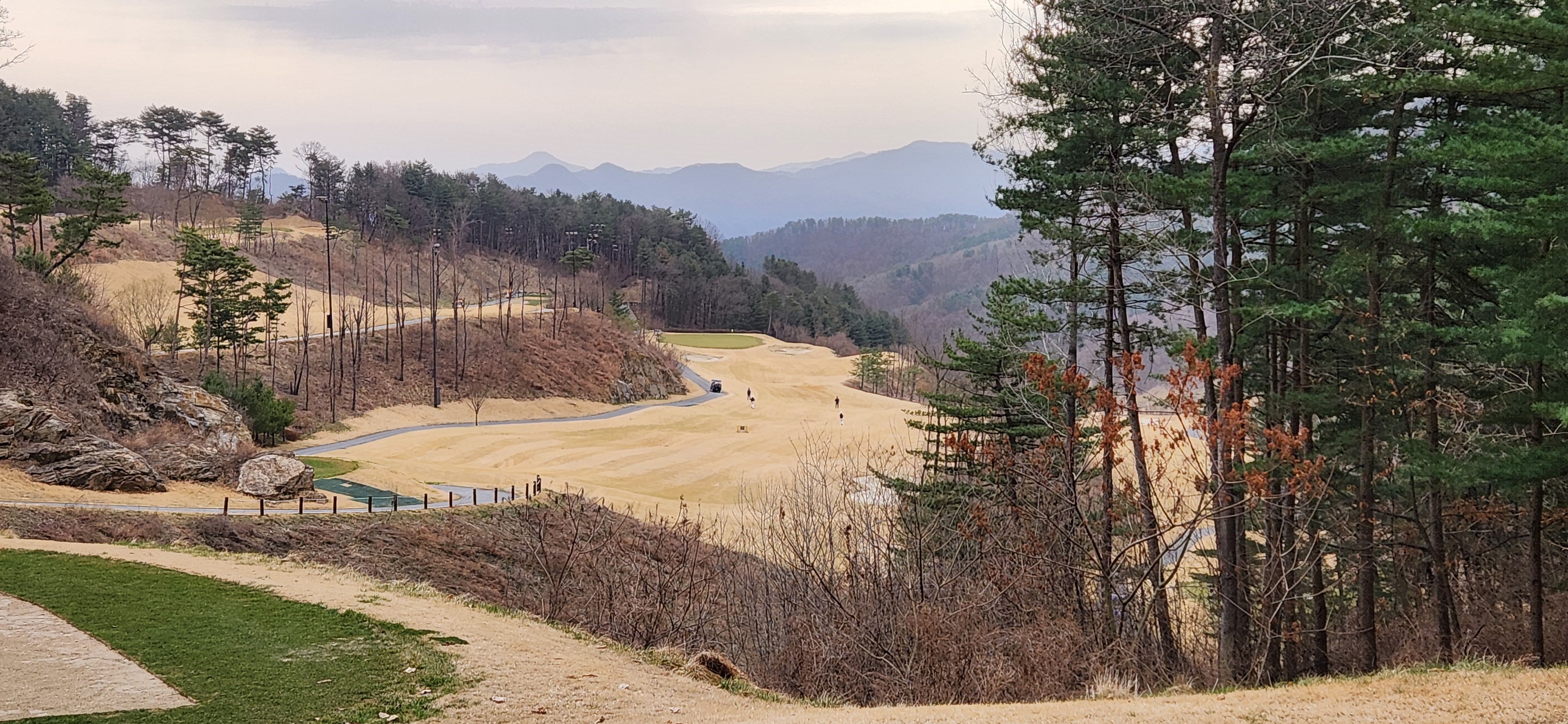 베뉴지cc