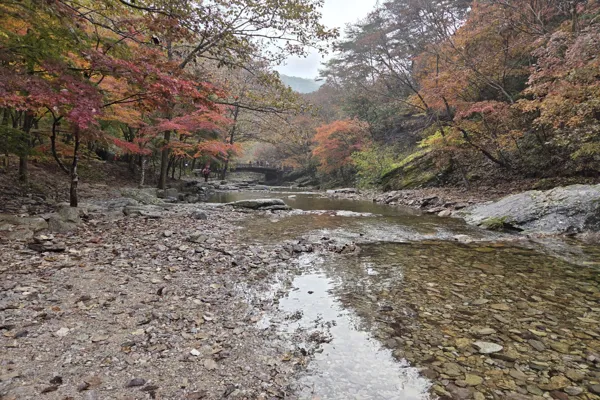 강천산8