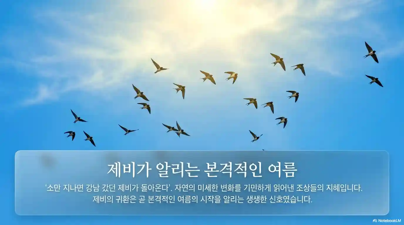 소만과 제비 연관성