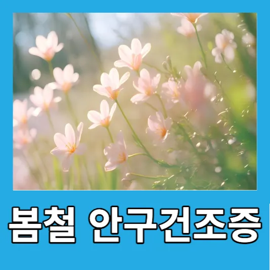 봄철 직장인 안구건조증