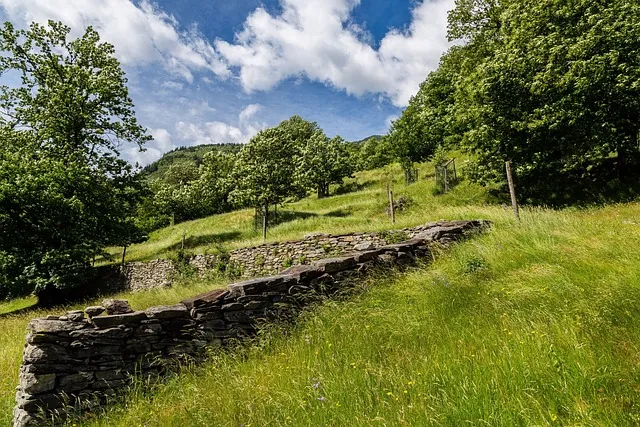 멍든데 바르는 약 연고 BEST 3_4