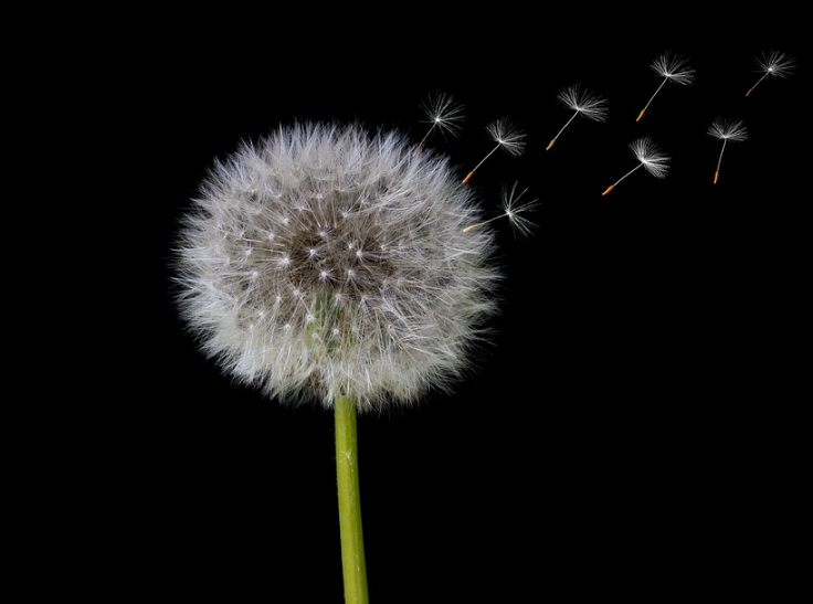 지방간줄이는방법