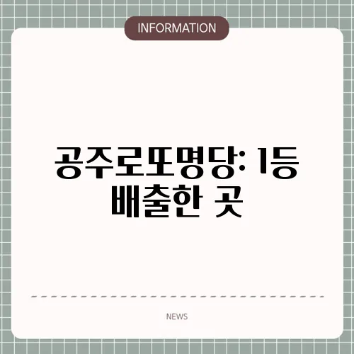 공주로또명당: 1등 배출한 곳