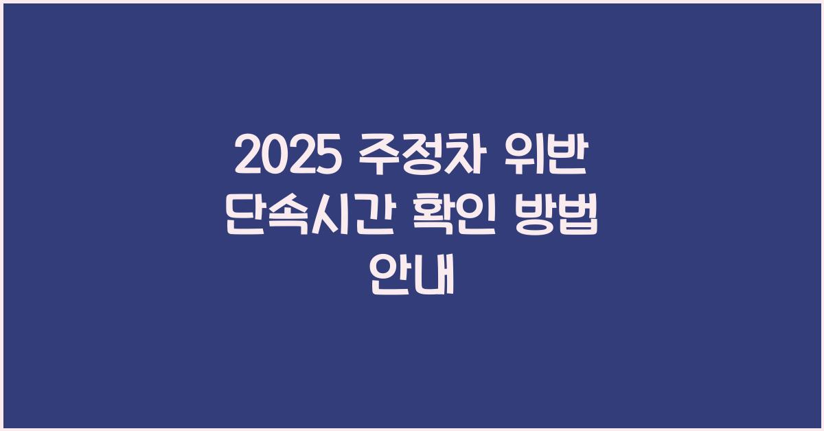 2025 주정차 위반 단속시간