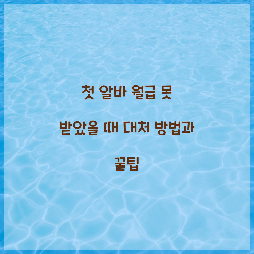 첫 알바 월급 못 받았을 때