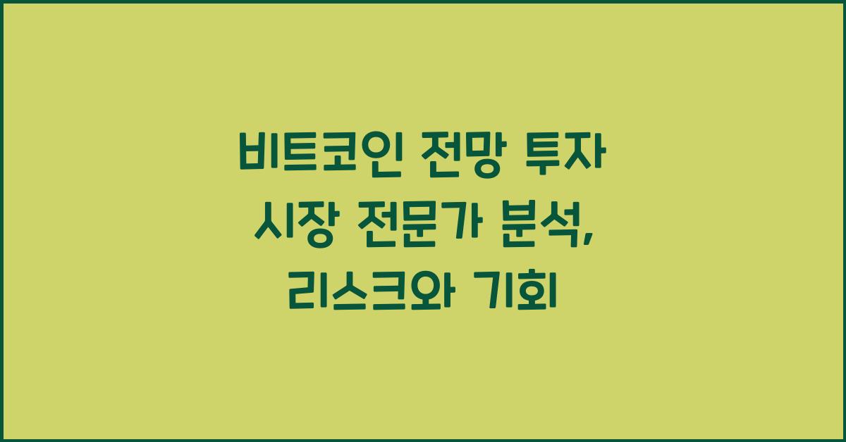 비트코인 전망 투자 시장 전문가