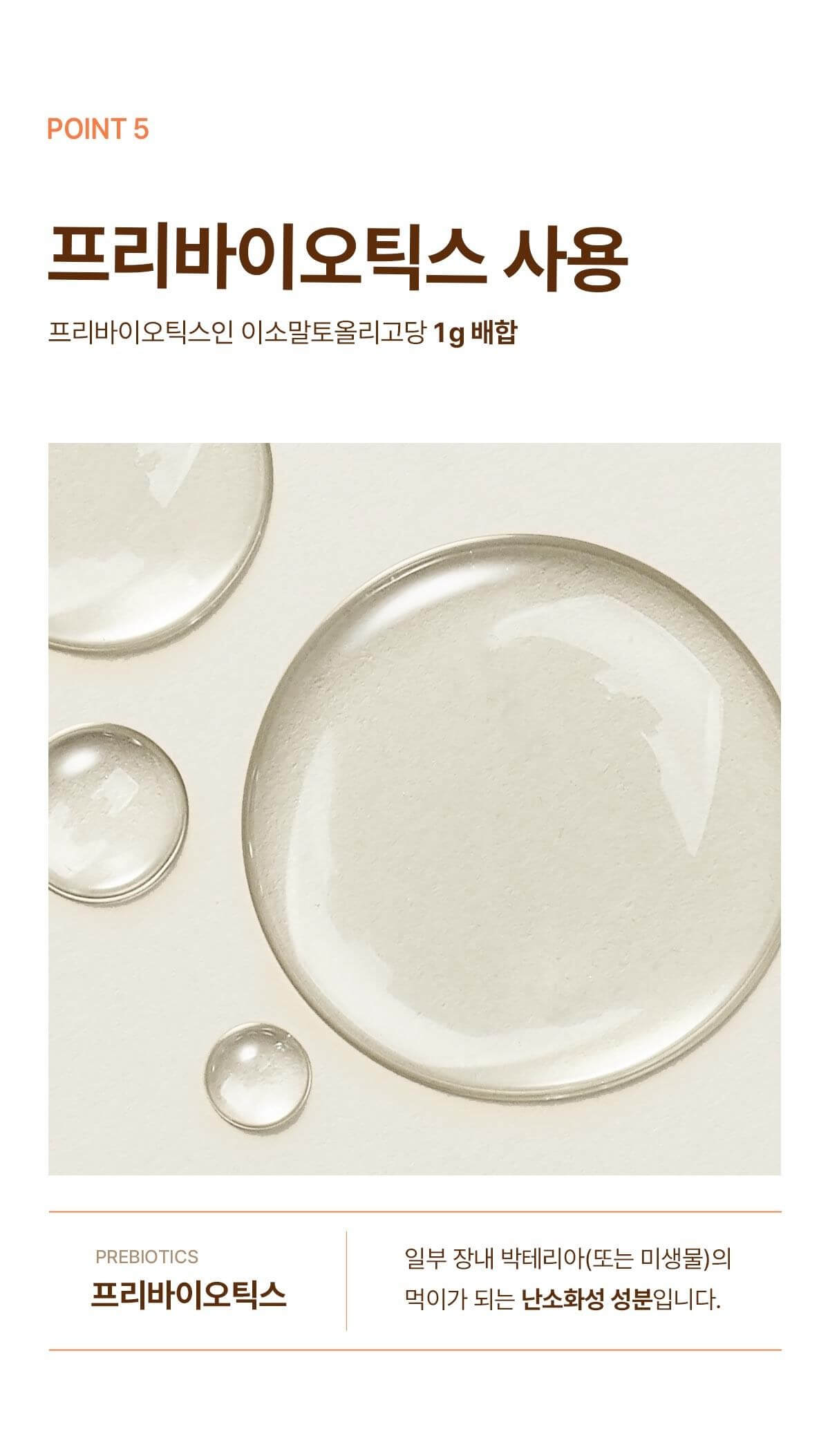 뉴케어 구수한맛