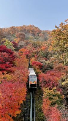 2023 단풍 절정 시기 및 단풍 명소 알아보기