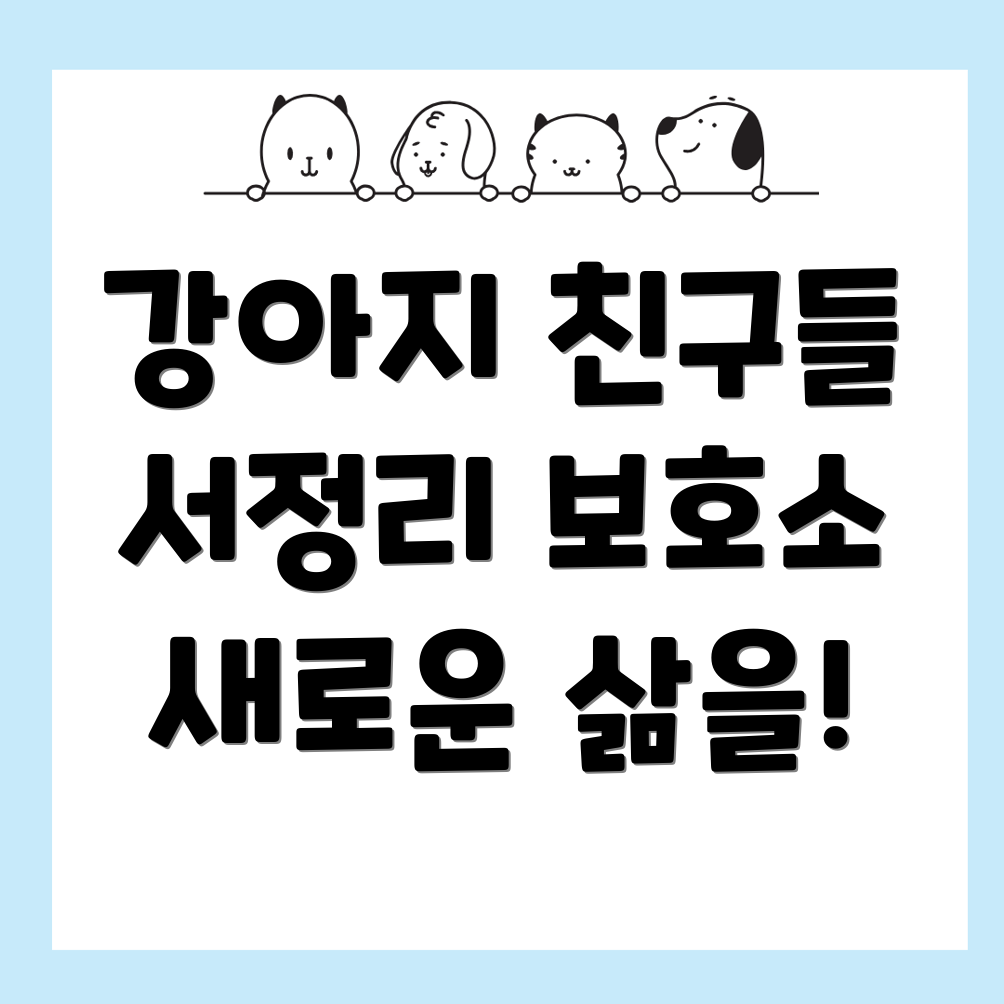 강아지 보호소