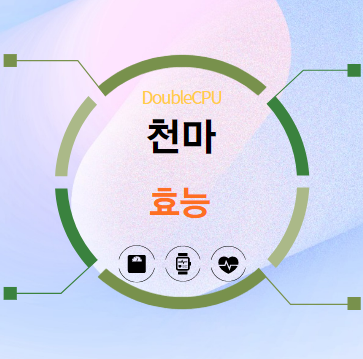 천마 효능 탐구